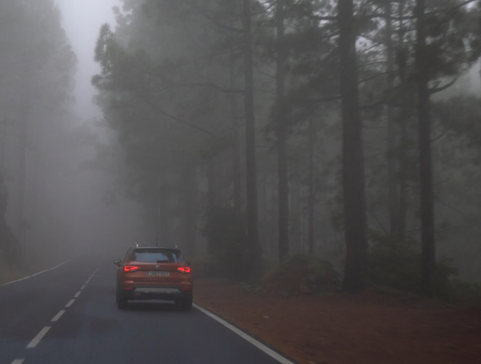 Gevallen bladeren, regen en mist: 10 tips om de uitdaging van rijden in de herfst aan te gaan
